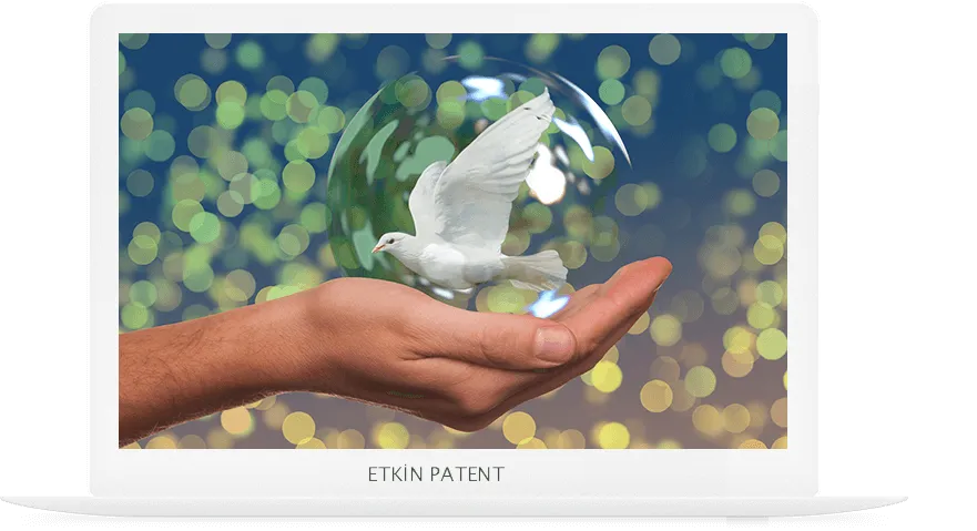 faydalı model on koruma yöntemleri-amasya patent
