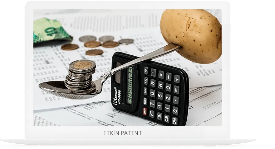 finansal davranışlara dair kombinasyon modeller-amasya patent